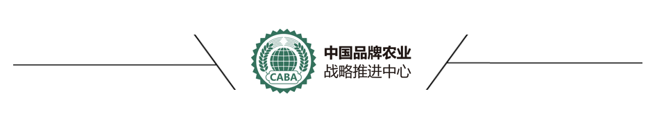 国家发展改革委等部门关于新时代推进品牌建设的指导意见3.png